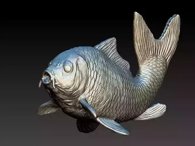 white koi fish model