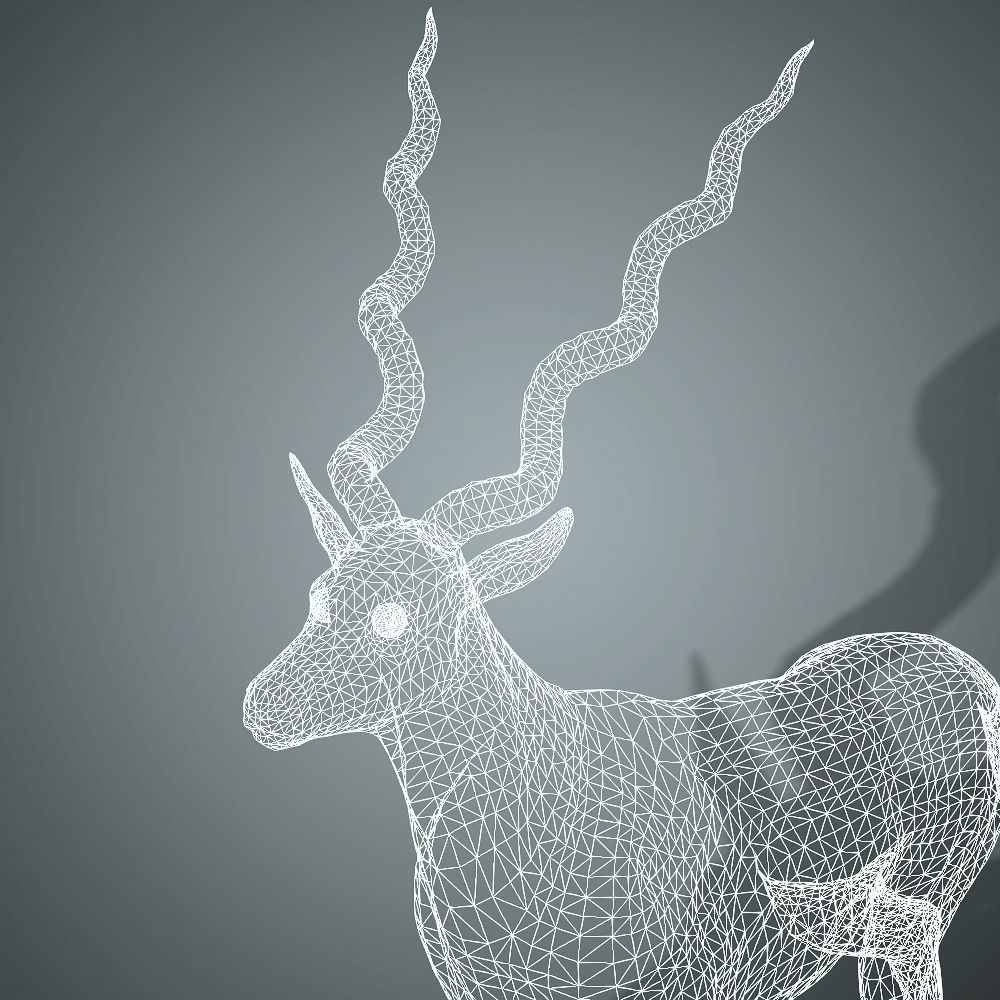 Antelope 3D with animation 3D model_4