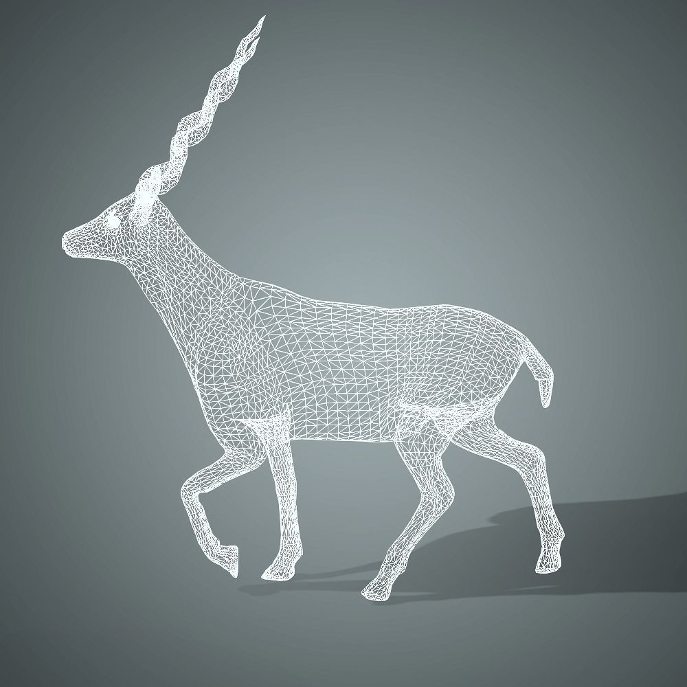 Antelope 3D with animation 3D model_2