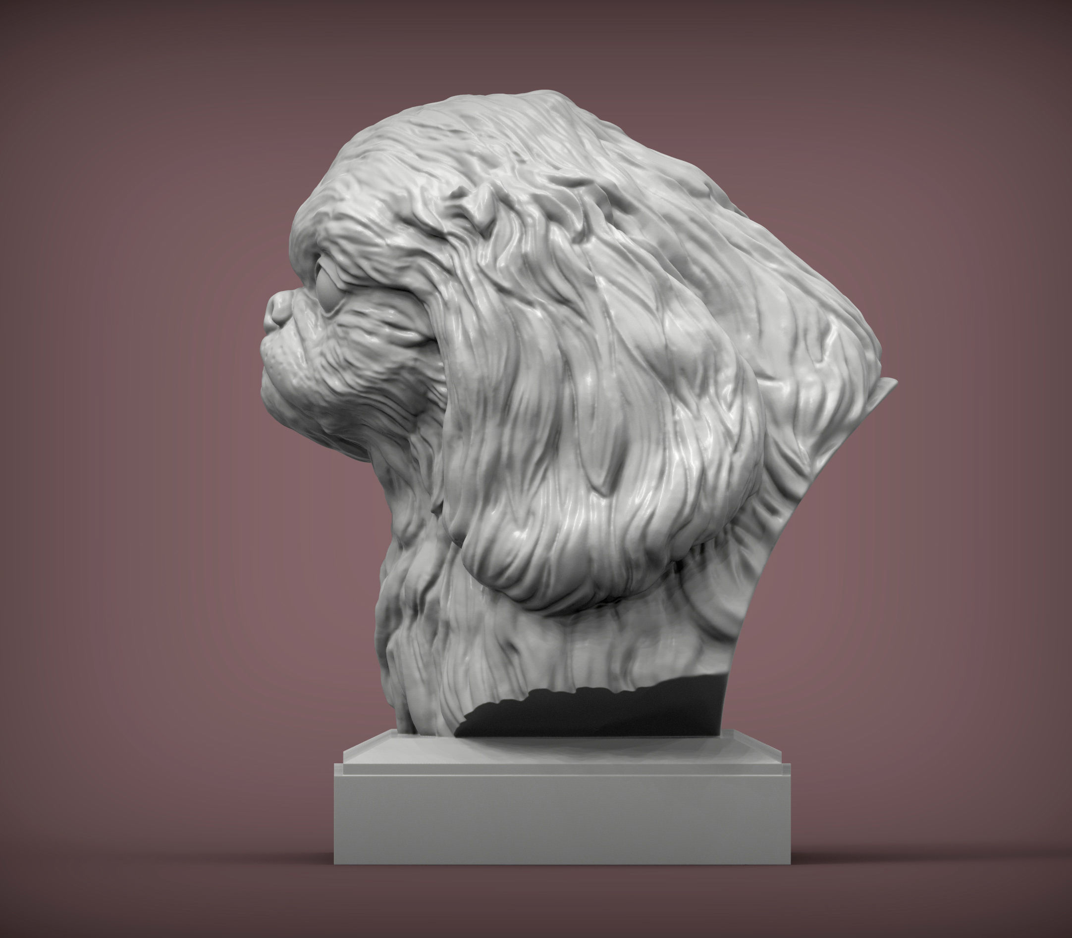 Pekingese bust 3D print model_1