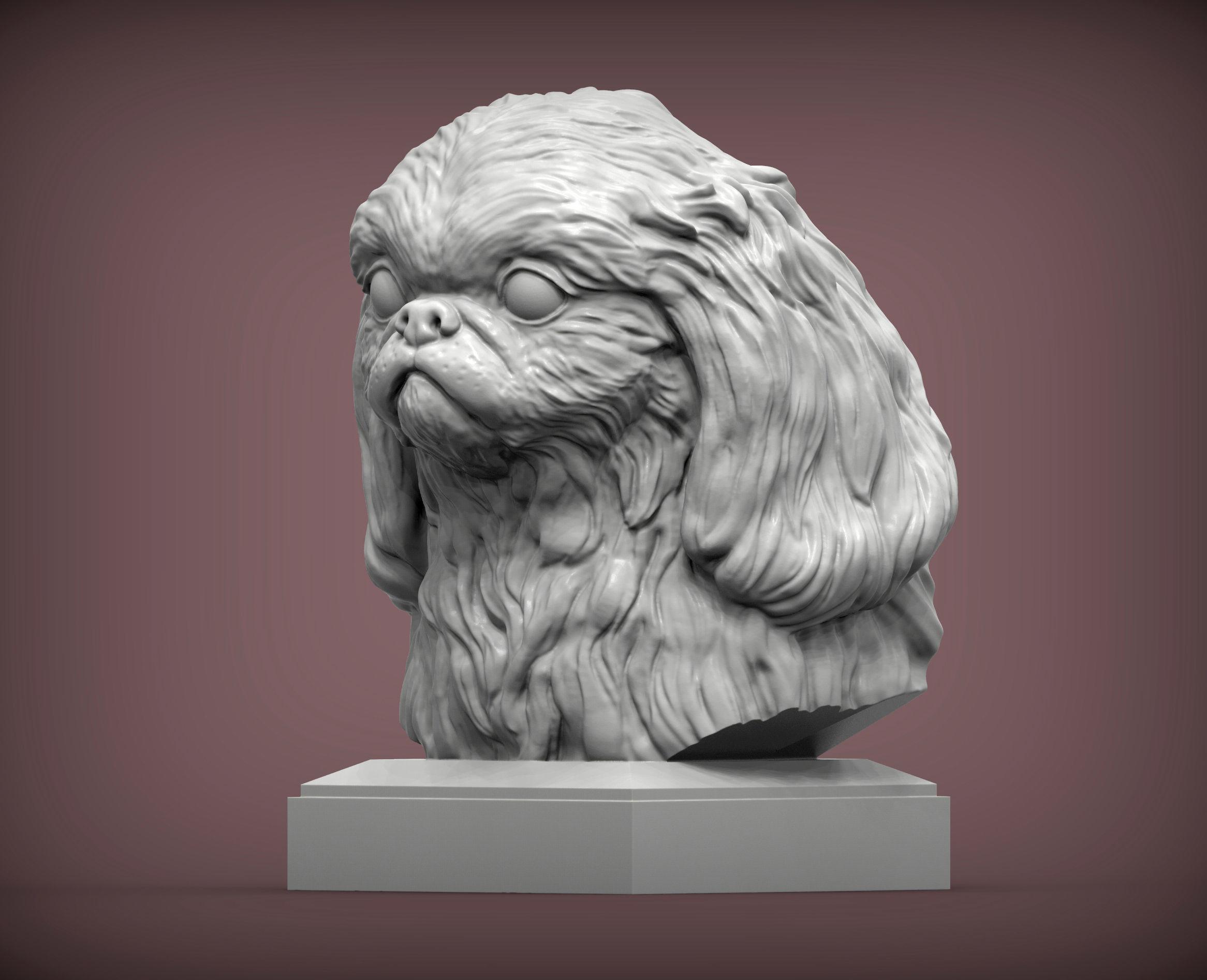 Pekingese bust 3D print model_2