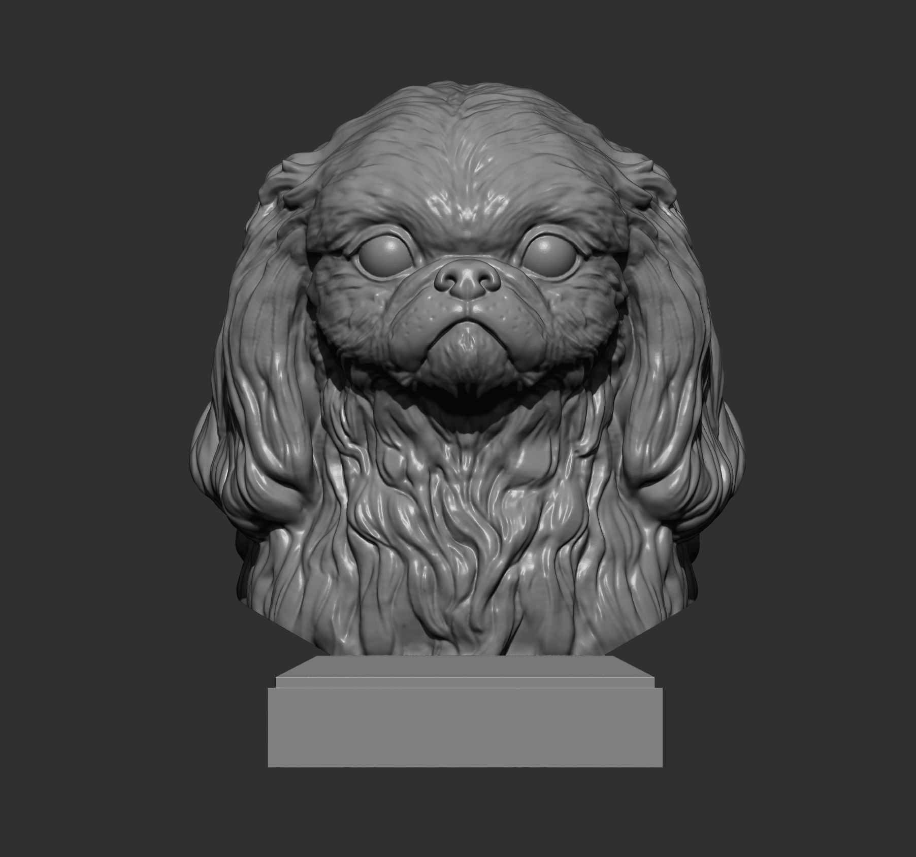 Pekingese bust 3D print model_4