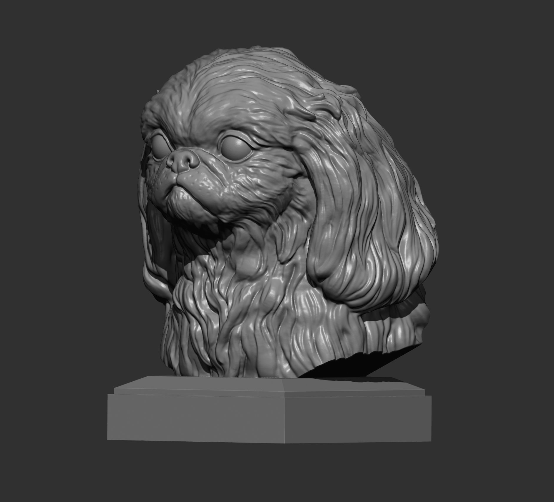 Pekingese bust 3D print model_3