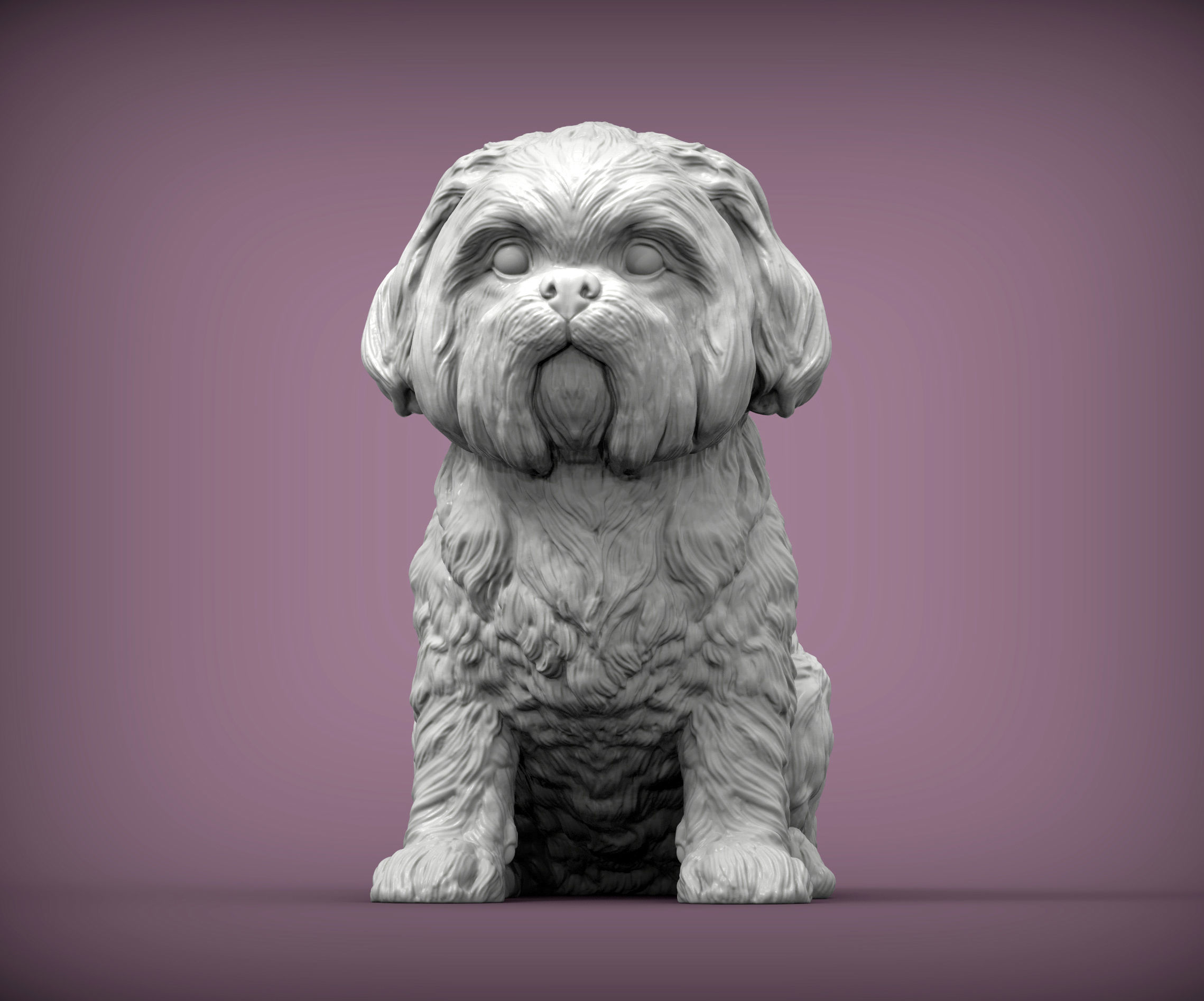 British Shih Tzu 3D print model 3D print model_4