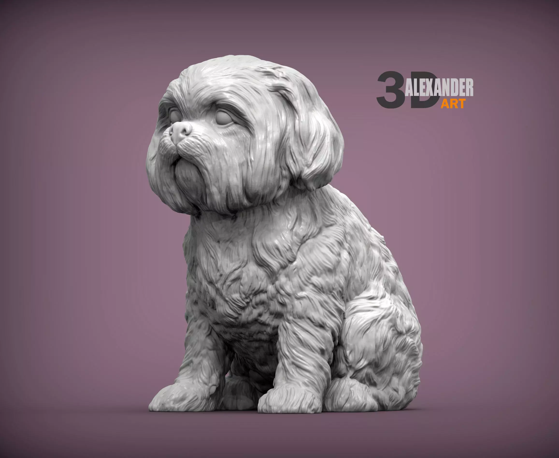 British Shih Tzu 3D print model 3D print model_0