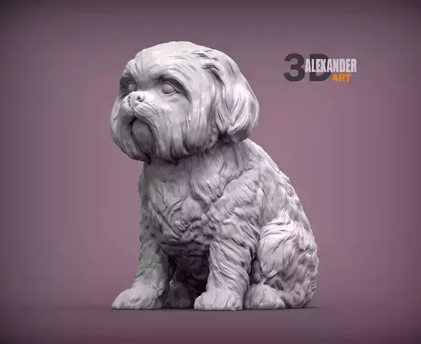 British Shih Tzu 3D print model 3D print model