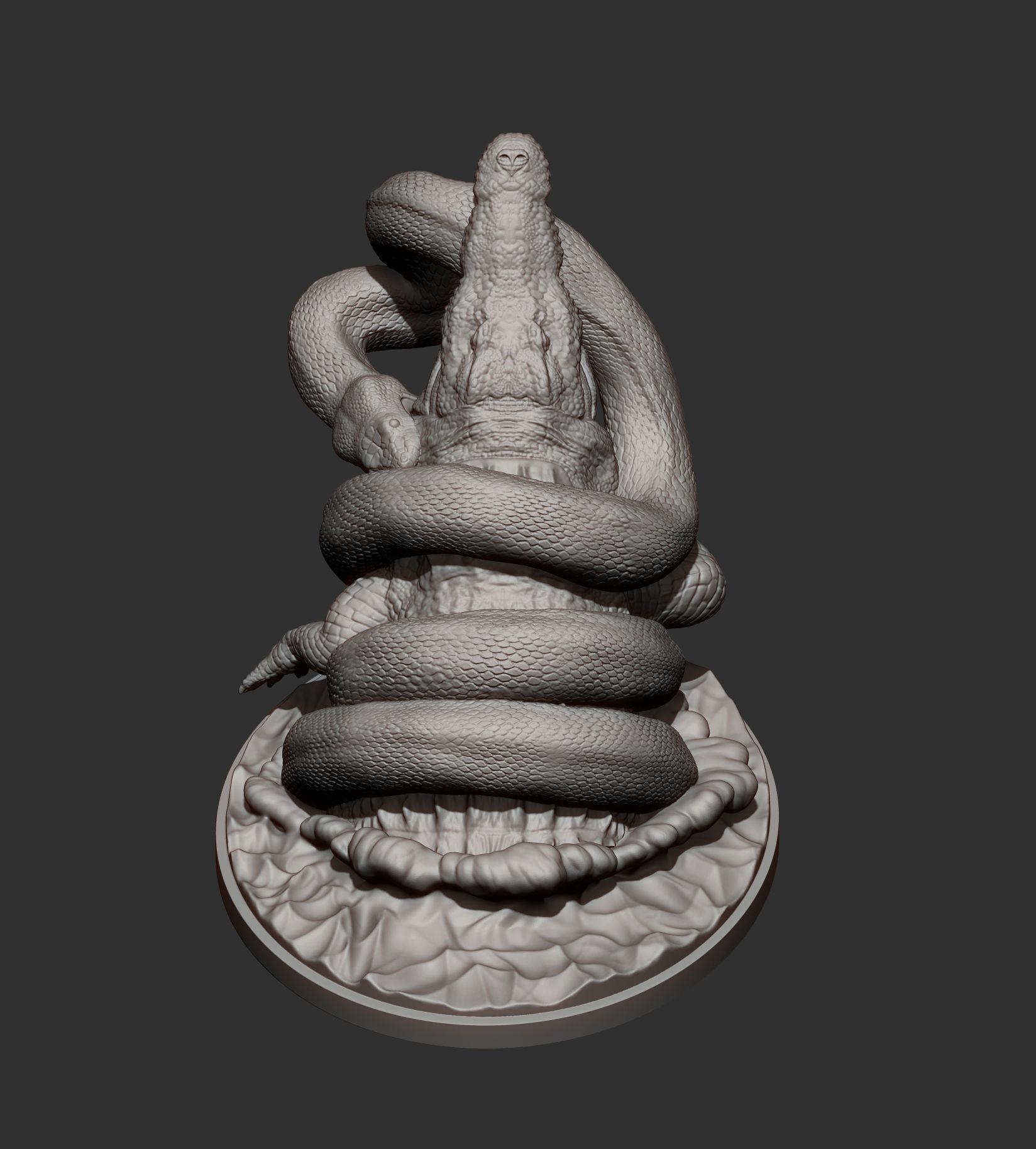 Orinoco crocodile with anaconda 3D print model_12