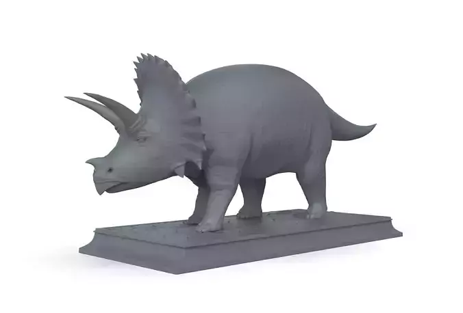 Triceratops 3D Model 3D model