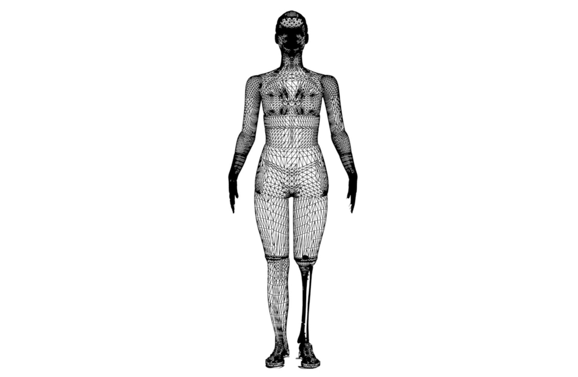 Tibial Intramedullary Nail 3D model_16