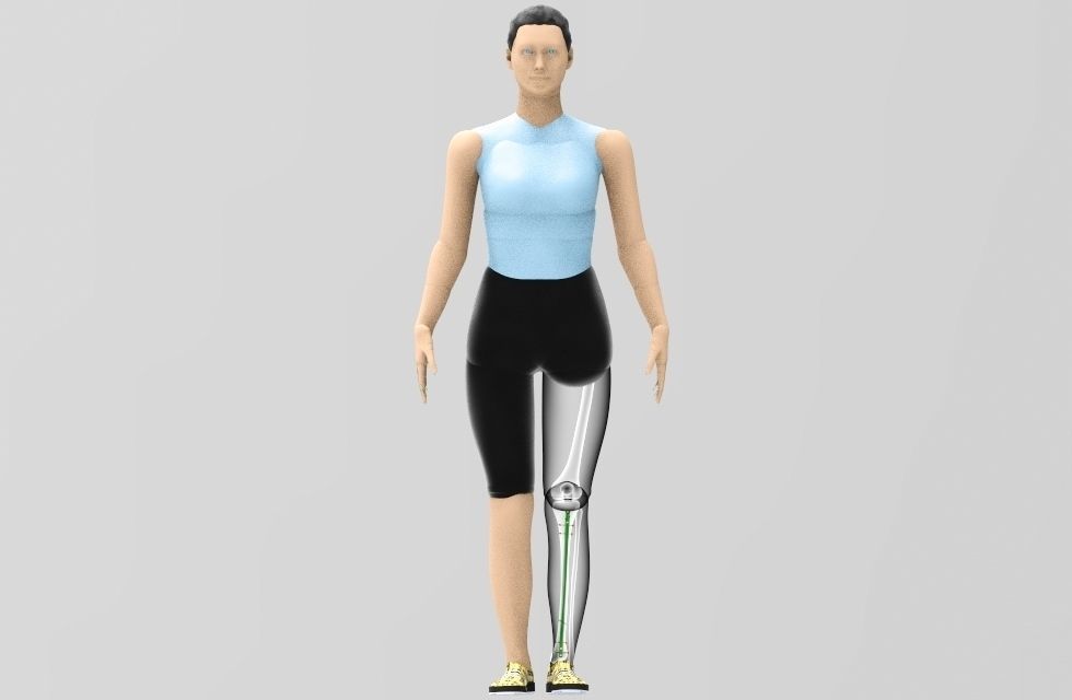 Tibial Intramedullary Nail 3D model_8