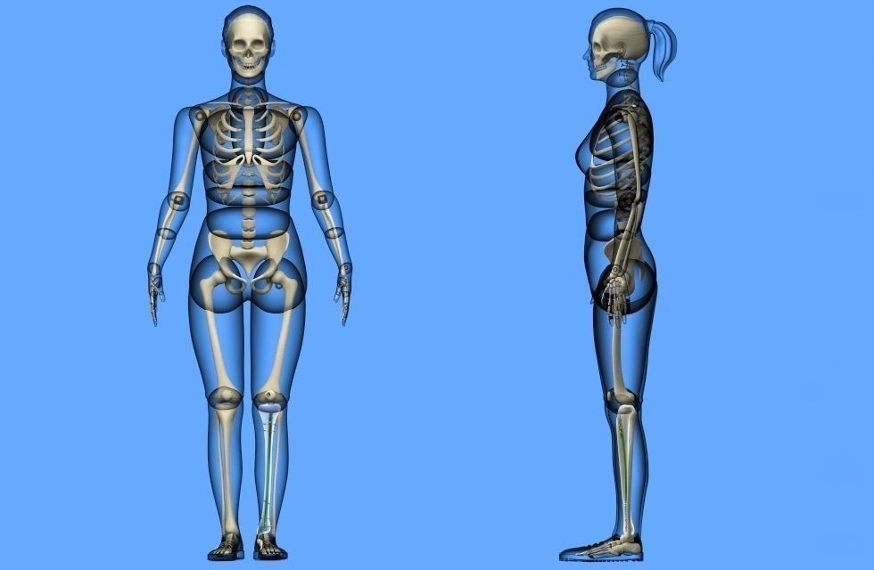 Tibial Intramedullary Nail 3D model_9