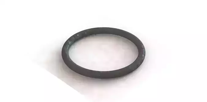 O Ring Vedabras 13009