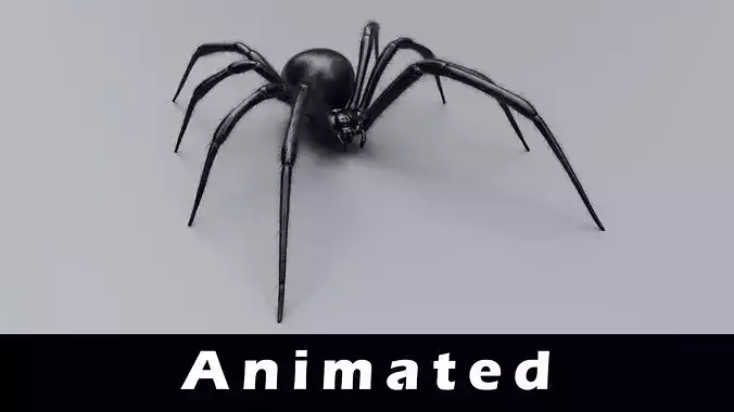 Black Widow Spider Low-poly 3D model
