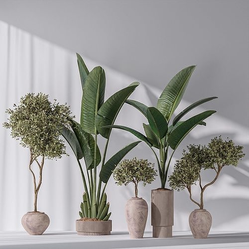 Bird Of Paradise Bird and Olive Tree Indoor Vase 11 3D model