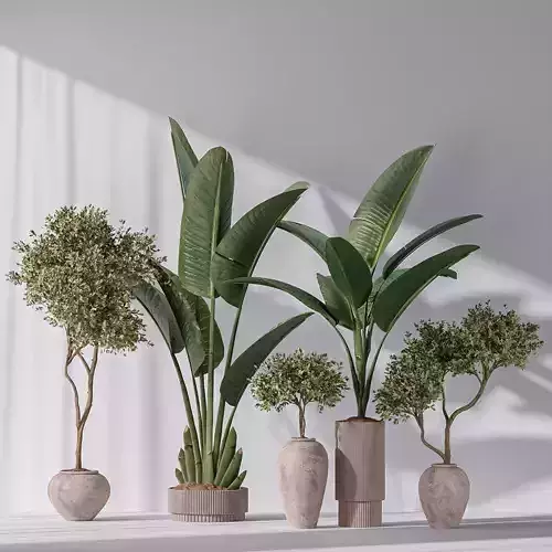 Bird Of Paradise Bird and Olive Tree Indoor Vase 11 3D model