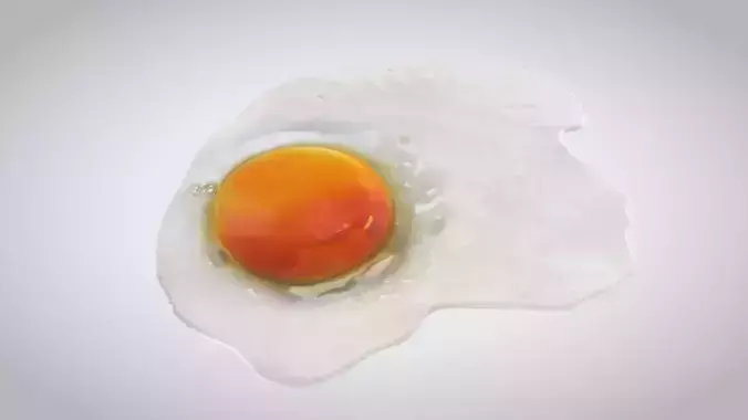 Fried Egg