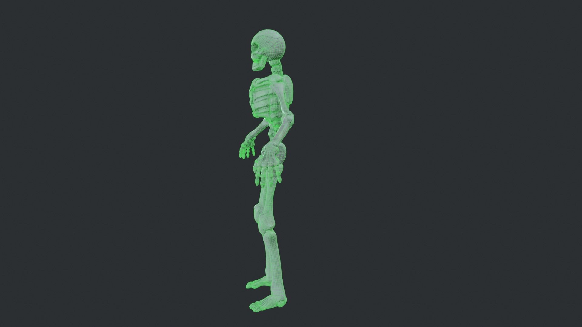 Skeleton Race Low-poly 3D model_36