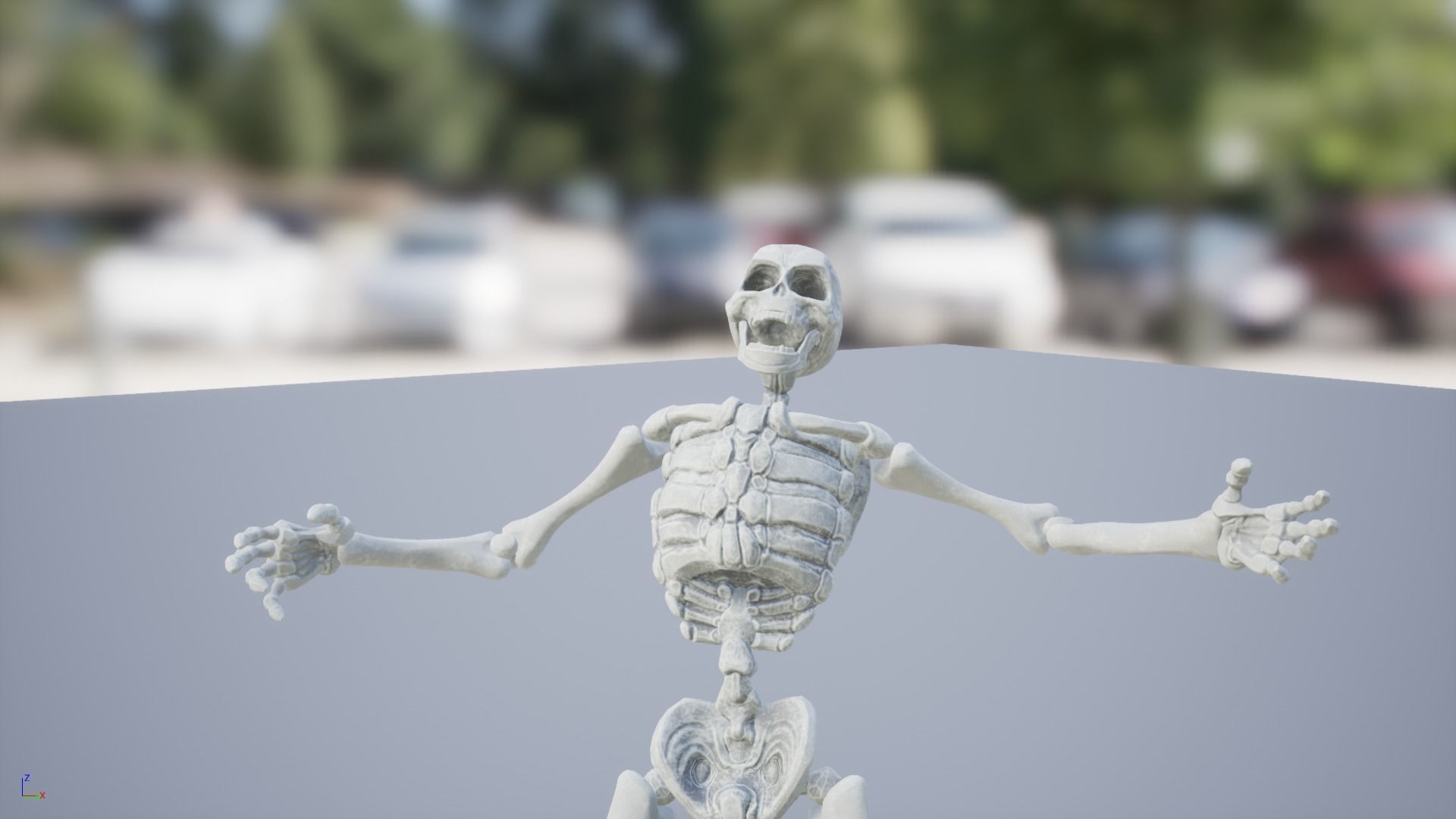 Skeleton Race Low-poly 3D model_26