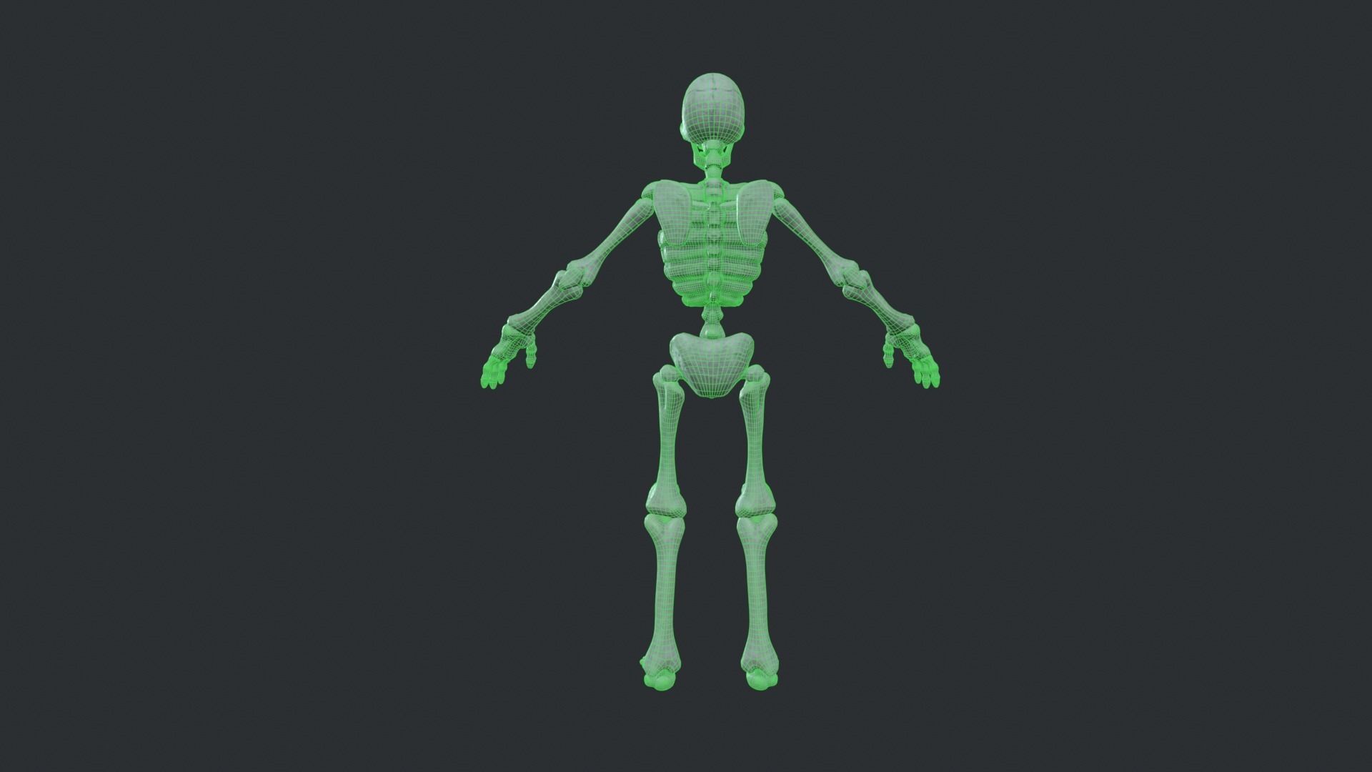 Skeleton Race Low-poly 3D model_37