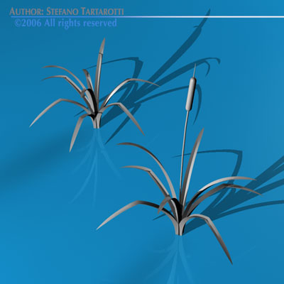 Pond plant 3D model_5