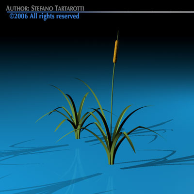 Pond plant 3D model_2