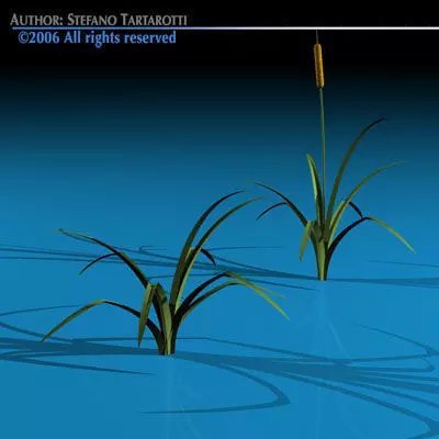 Pond plant 3D model_0