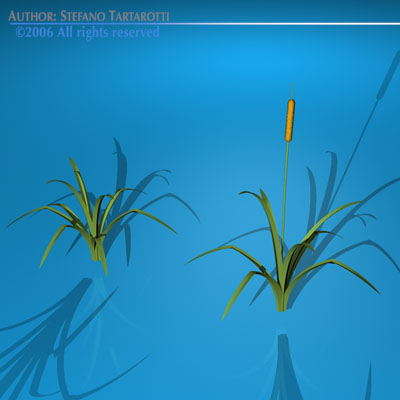 Pond plant 3D model_1