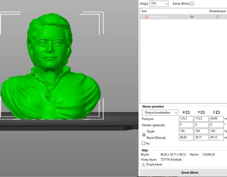 Kathy Bates 3D print model_6