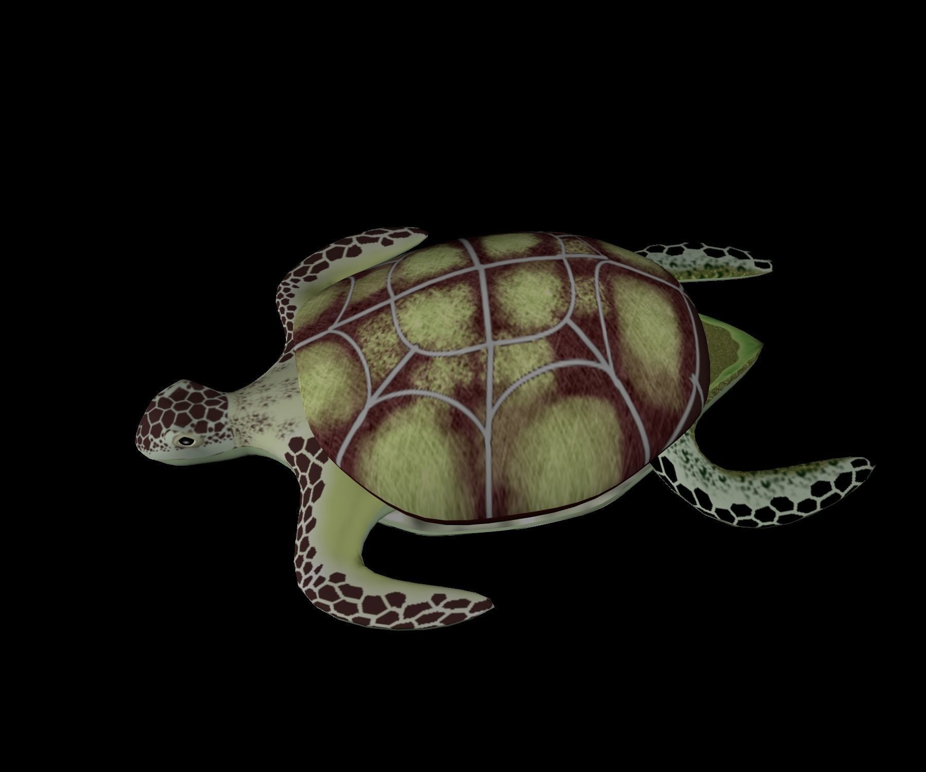 Rigged low-poly turtle  Low-poly 3D model_9