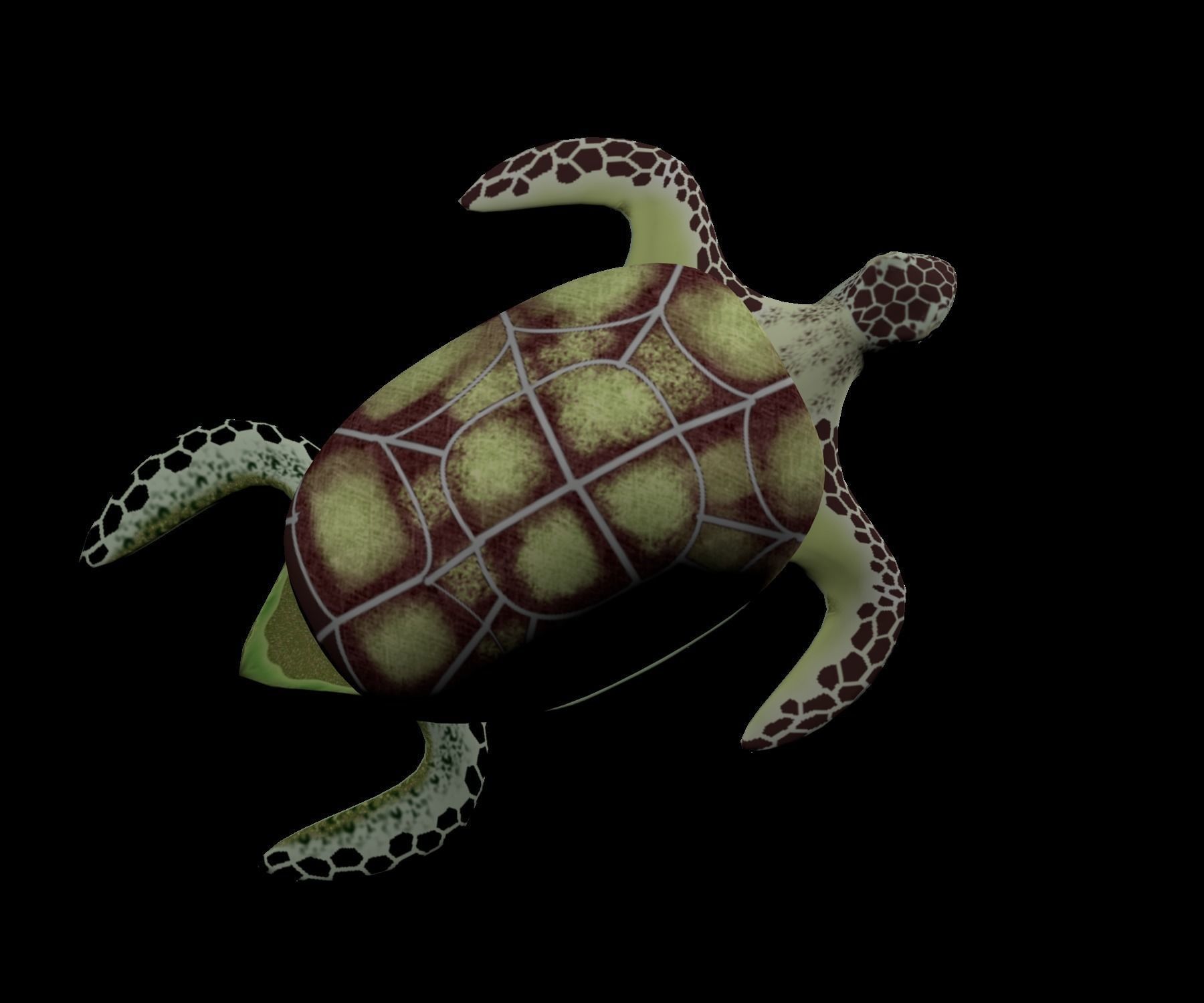 Rigged low-poly turtle  Low-poly 3D model_14