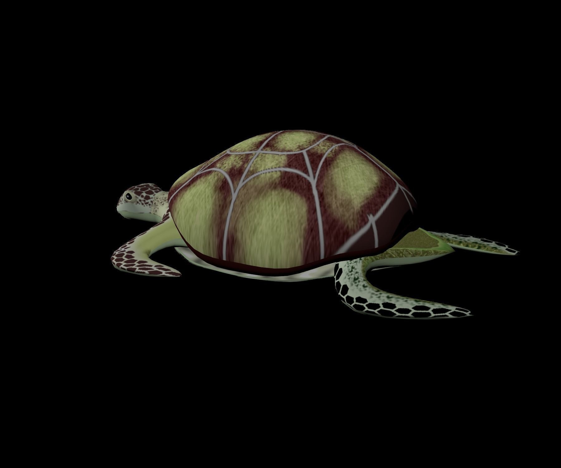 Rigged low-poly turtle  Low-poly 3D model_7