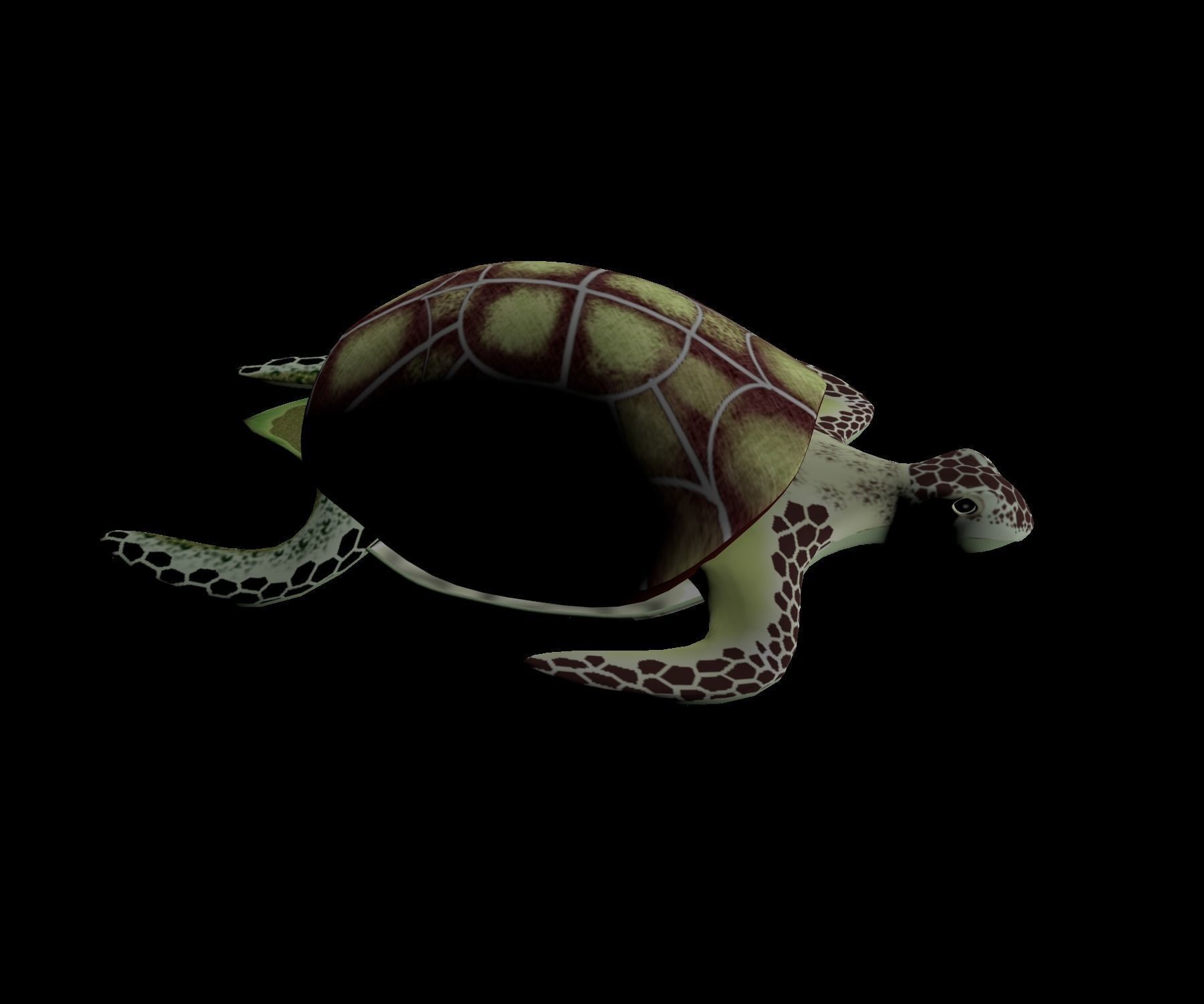 Rigged low-poly turtle  Low-poly 3D model_11