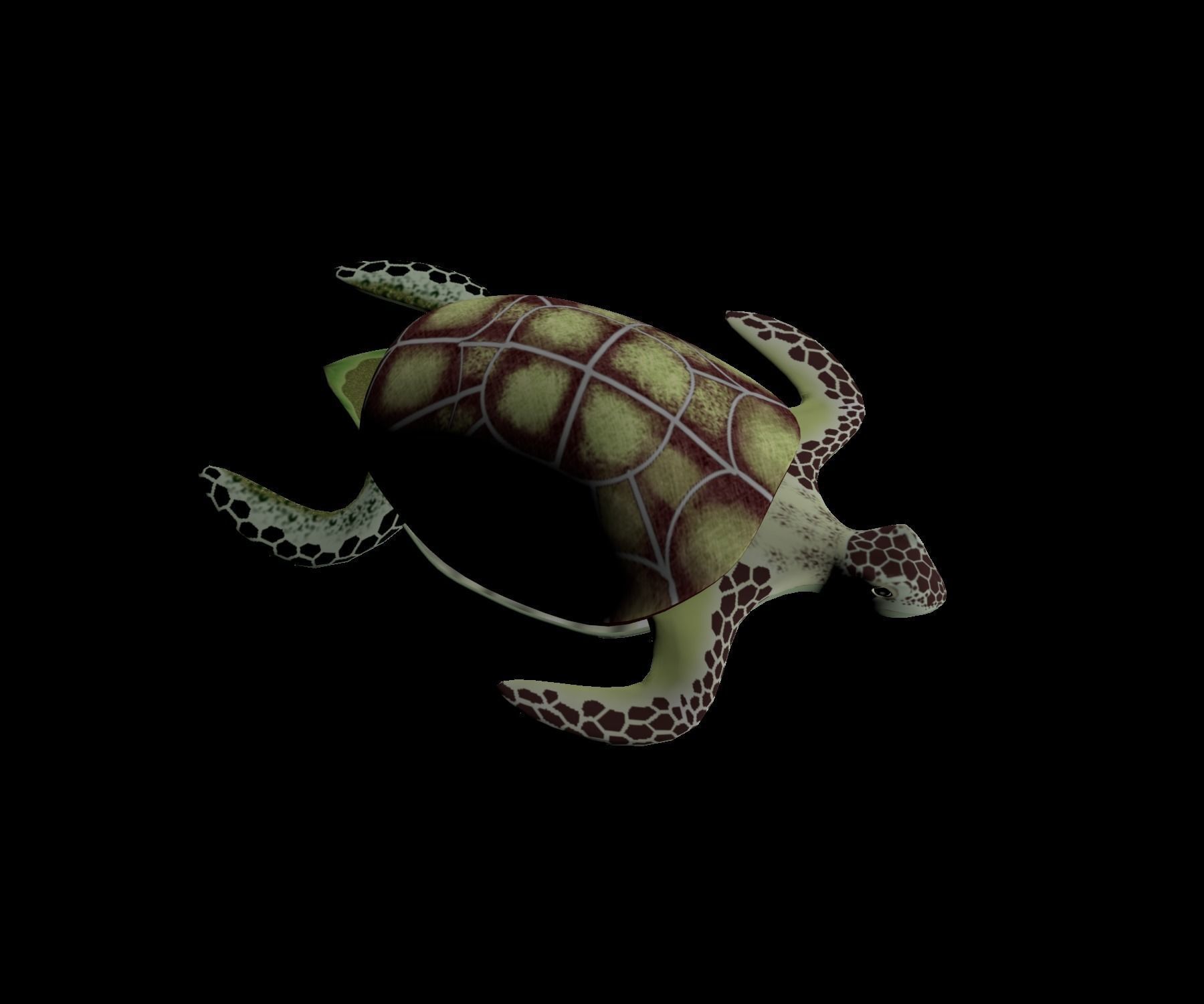 Rigged low-poly turtle  Low-poly 3D model_13