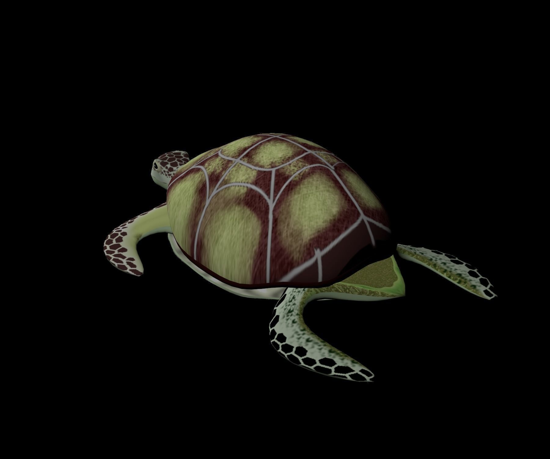 Rigged low-poly turtle  Low-poly 3D model_3