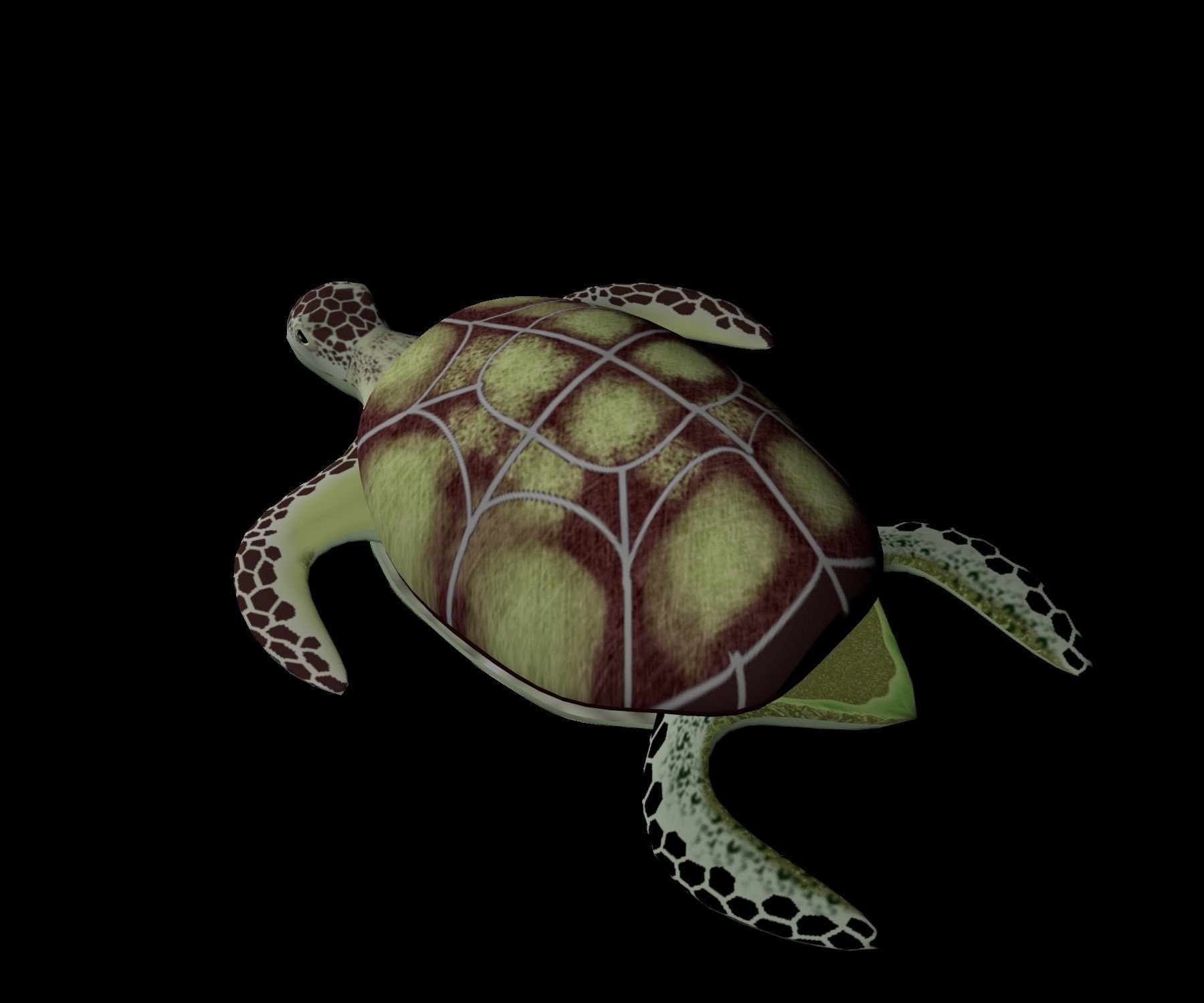 Rigged low-poly turtle  Low-poly 3D model_8