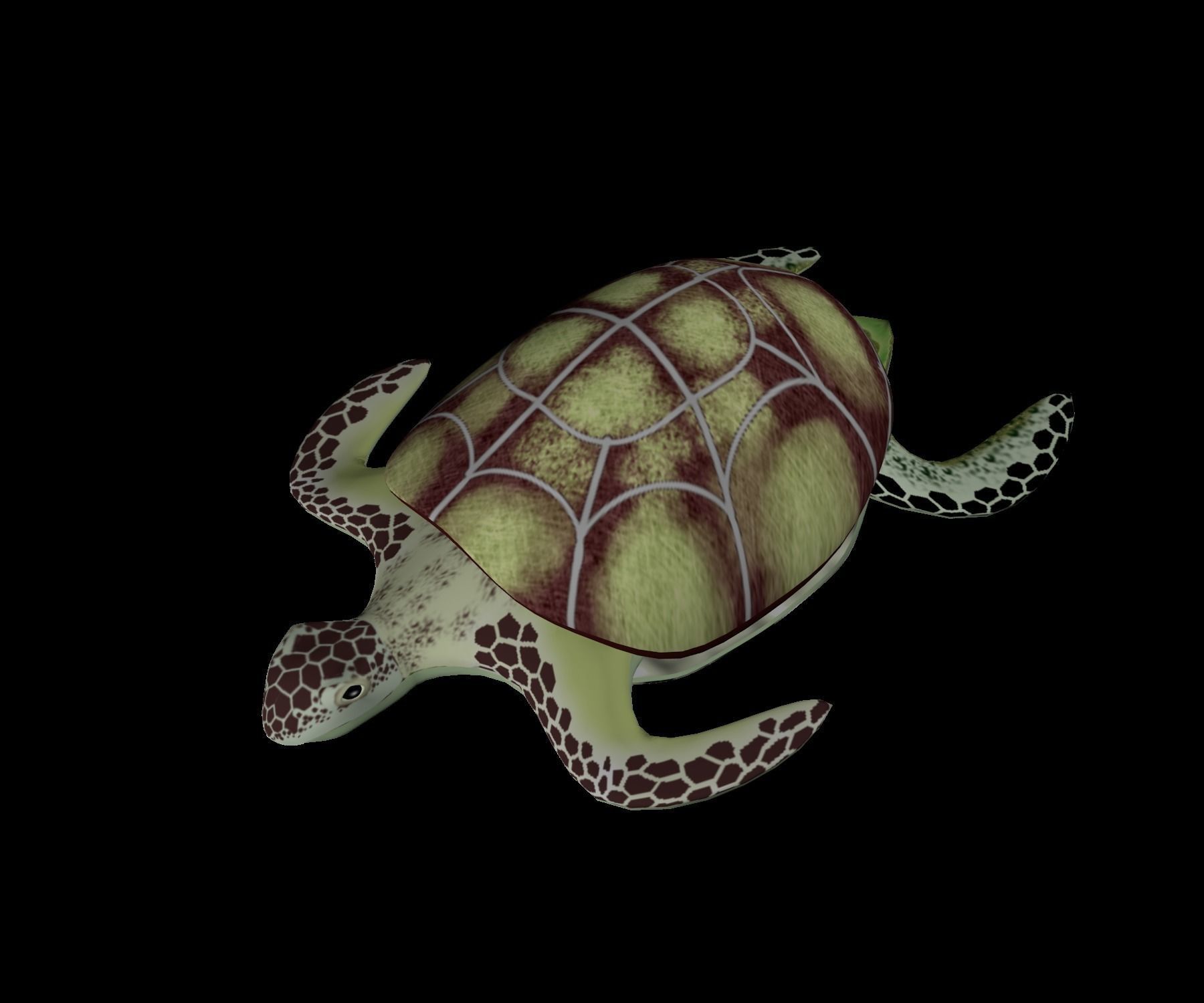 Rigged low-poly turtle  Low-poly 3D model_1