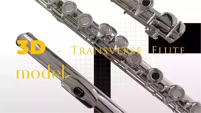 Model of a Transverse Flute
