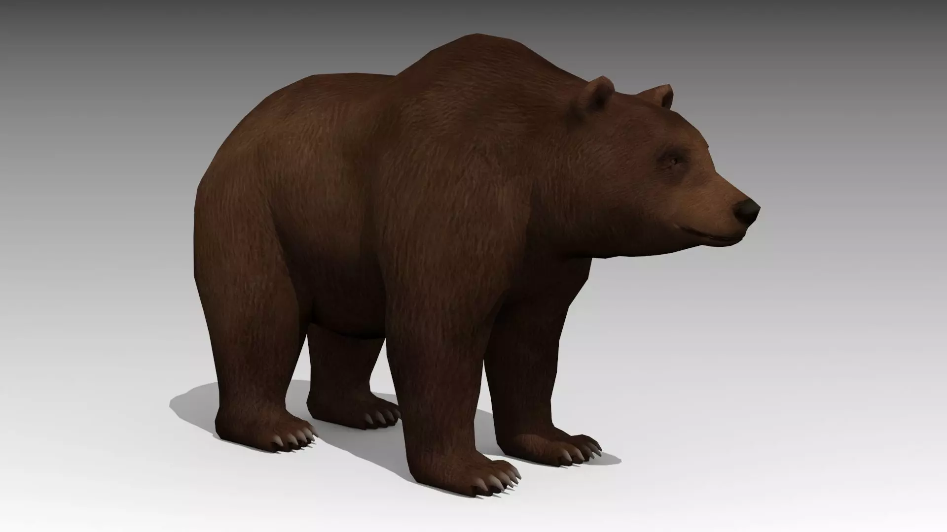 Grizzly Bear Animated Low-poly 3D model_0