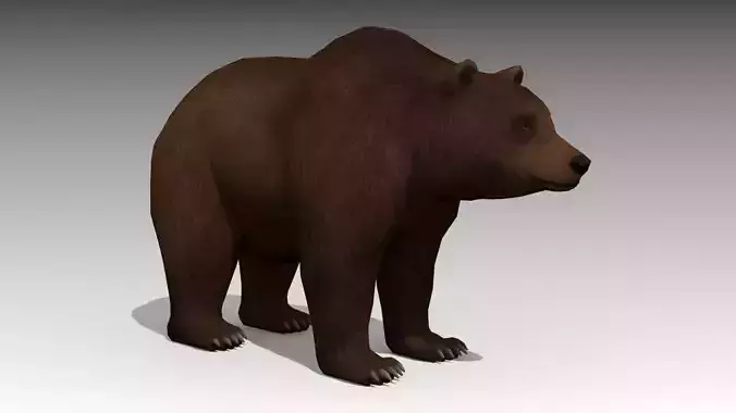 Grizzly Bear Animated Low-poly 3D model