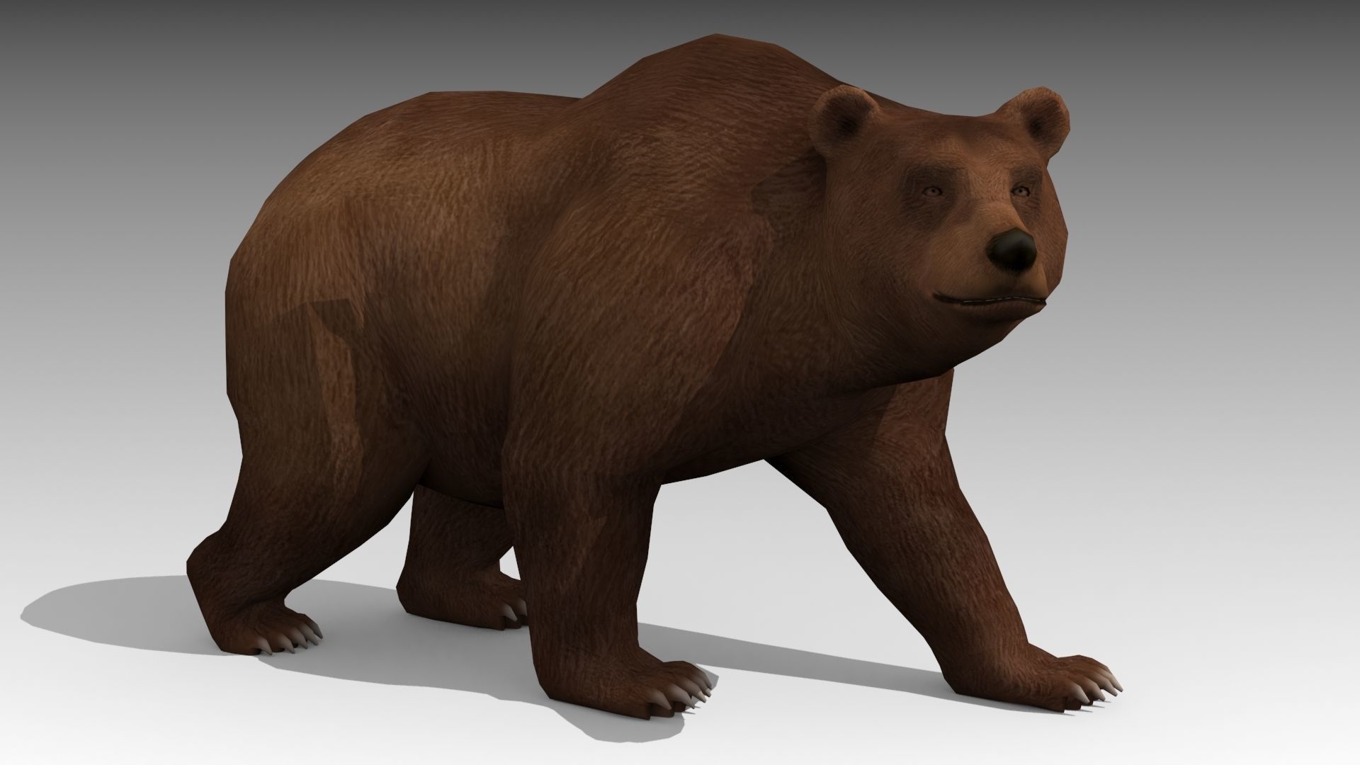 Grizzly Bear Animated Low-poly 3D model_3