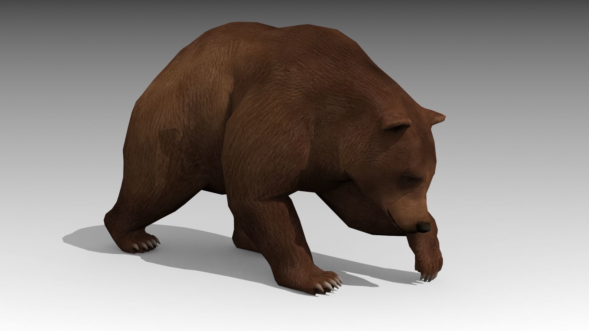 Grizzly Bear Animated Low-poly 3D model_6