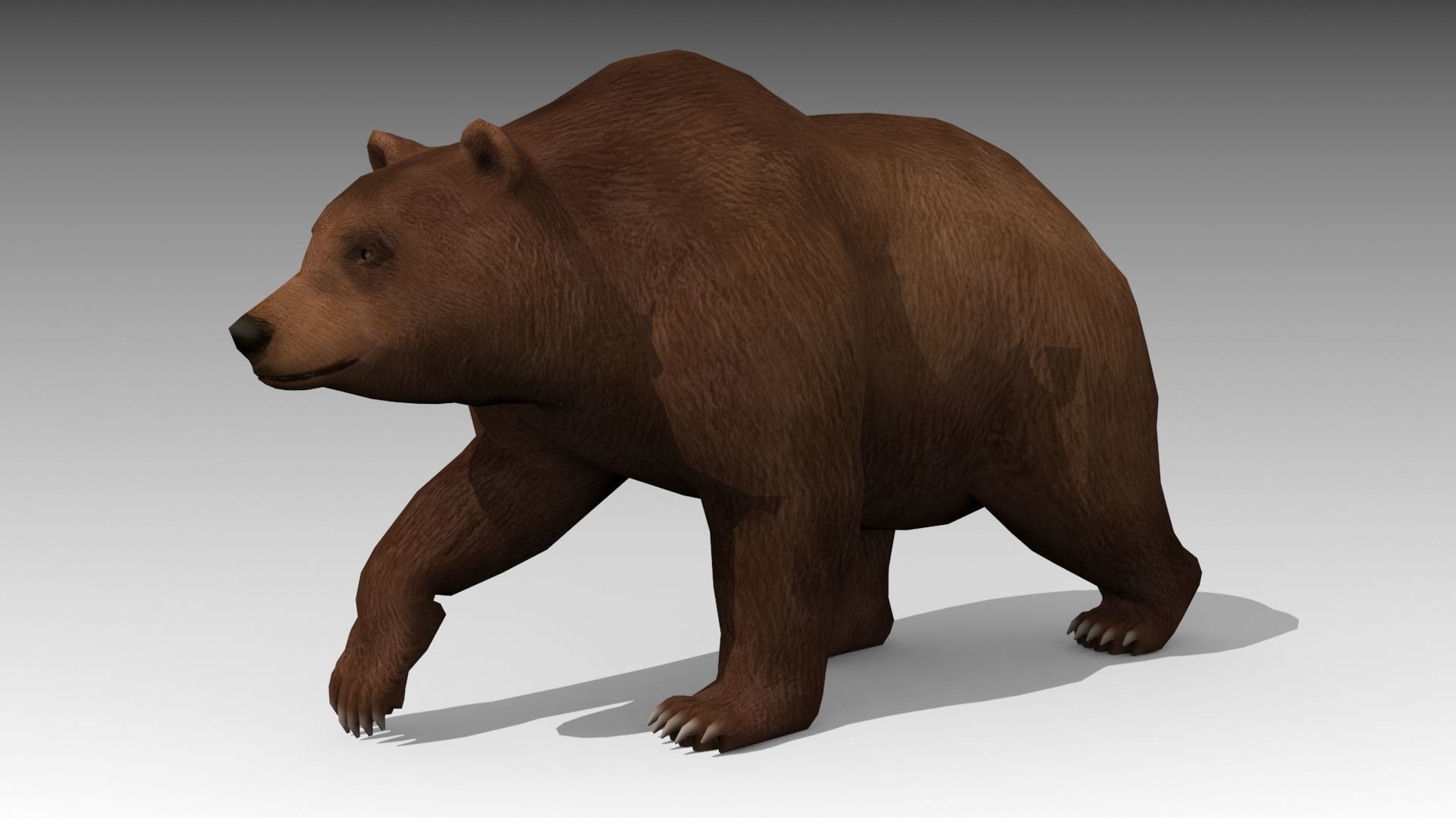 Grizzly Bear Animated Low-poly 3D model_2