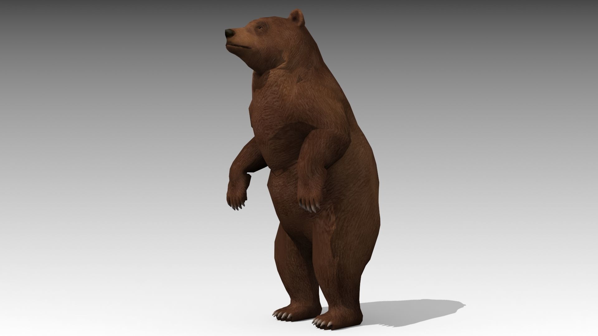 Grizzly Bear Animated Low-poly 3D model_4