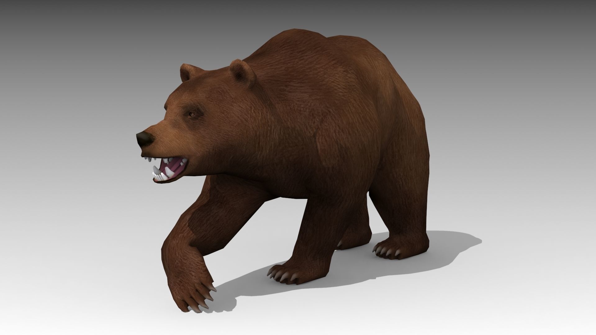 Grizzly Bear Animated Low-poly 3D model_7