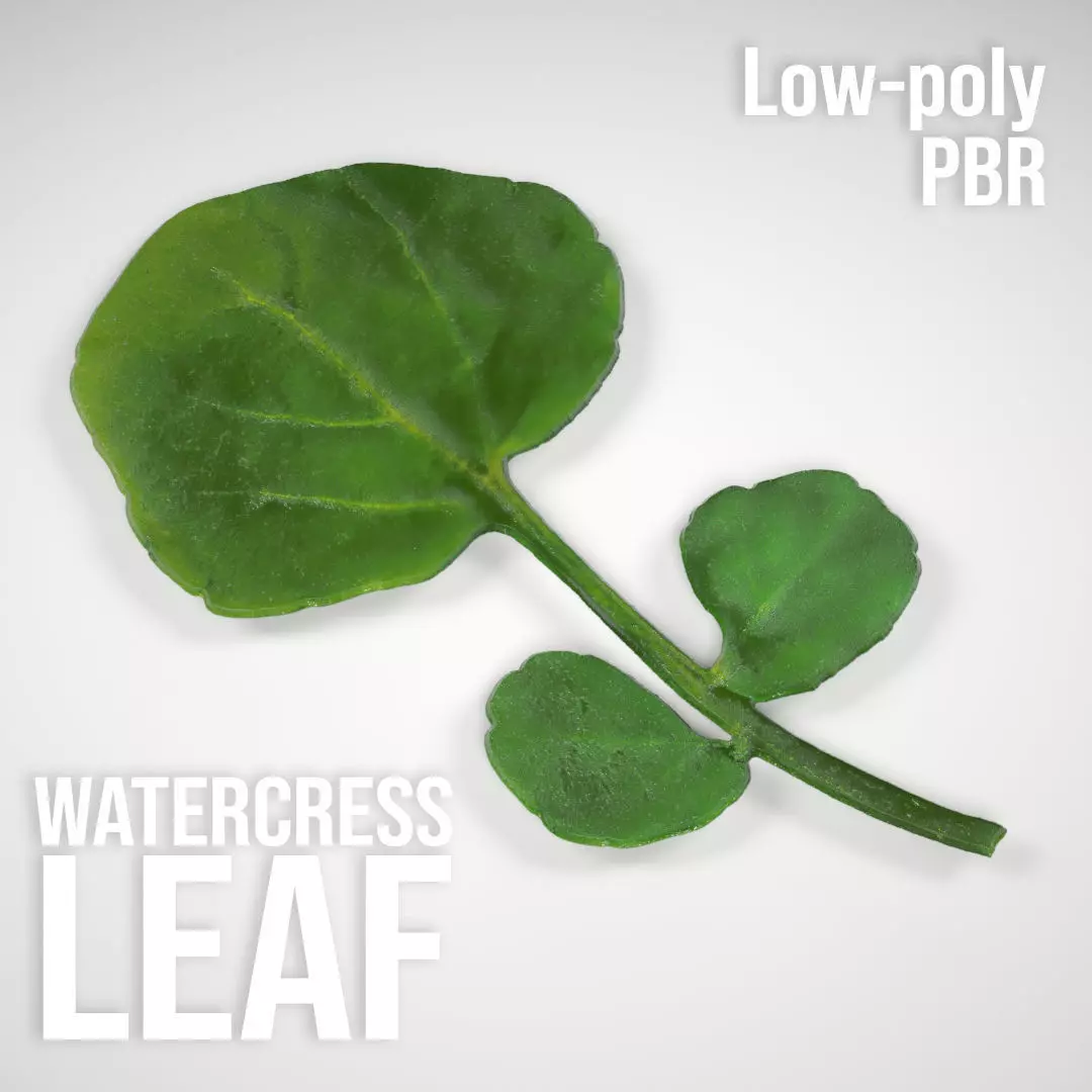 A Watercress Leaf Free low-poly 3D model