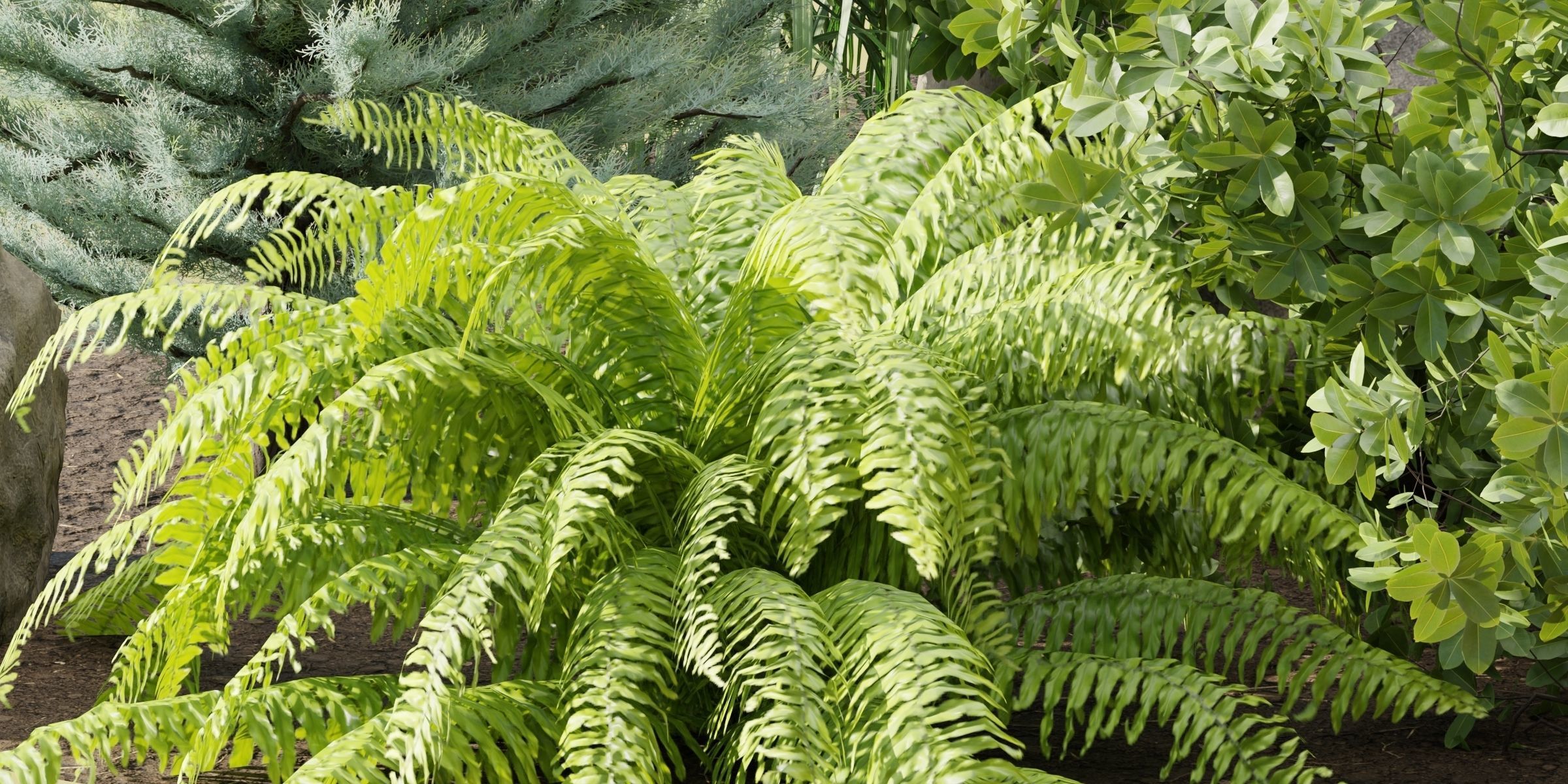 3D Plants Asset Set Garden Collection-Blender 3D model_15