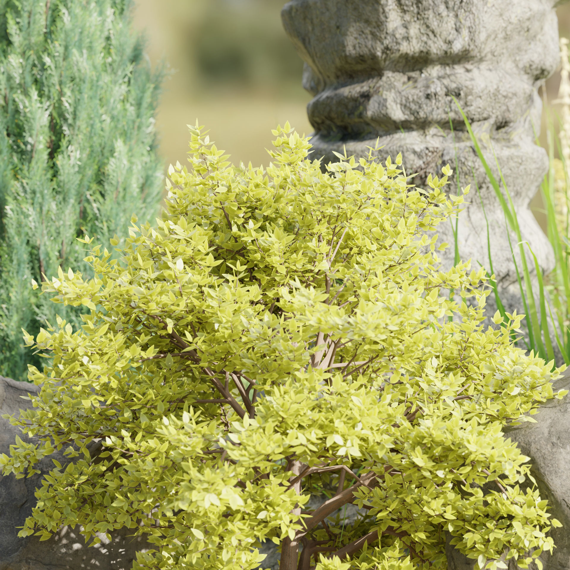 3D Plants Asset Set Garden Collection-Blender 3D model_19