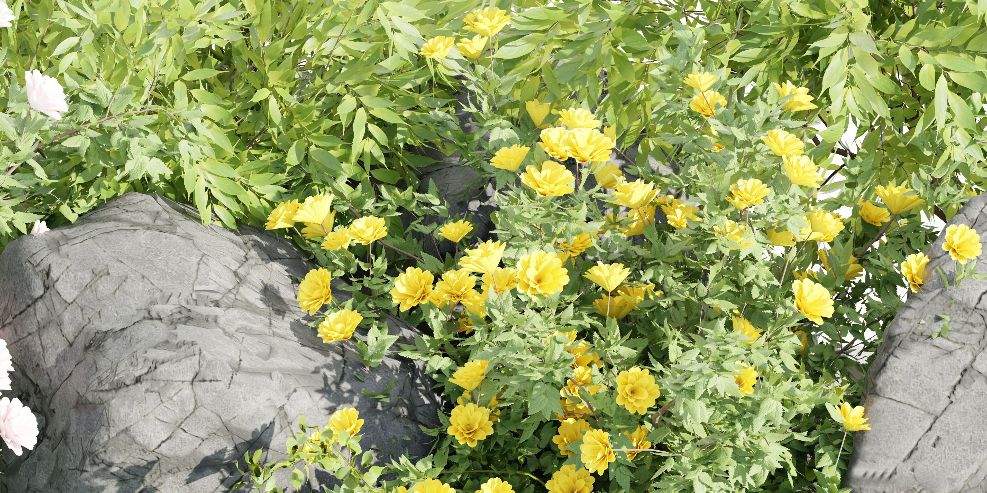 3D Plants Asset Set Garden Collection-Blender 3D model_9