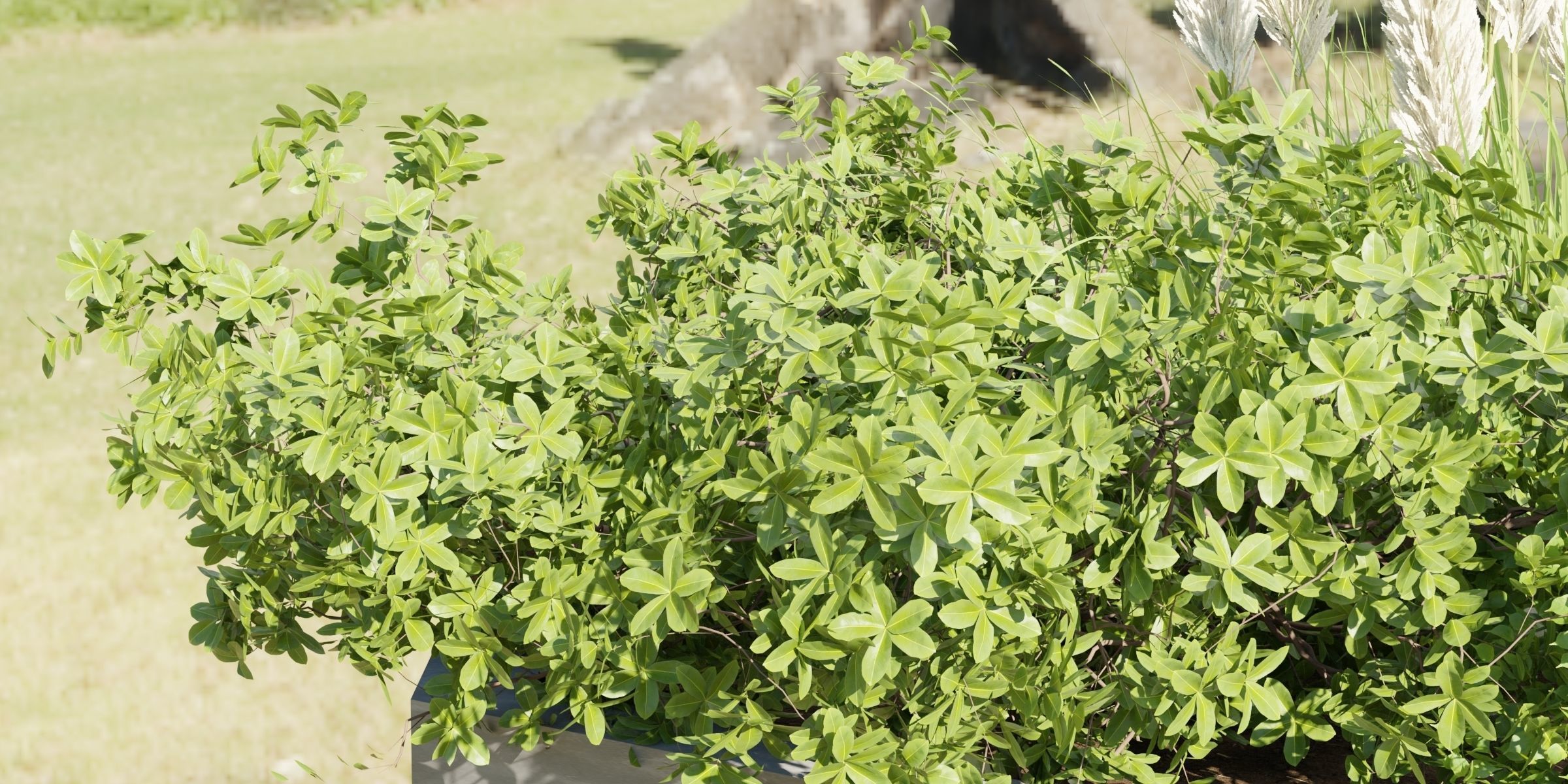 3D Plants Asset Set Garden Collection-Blender 3D model_17