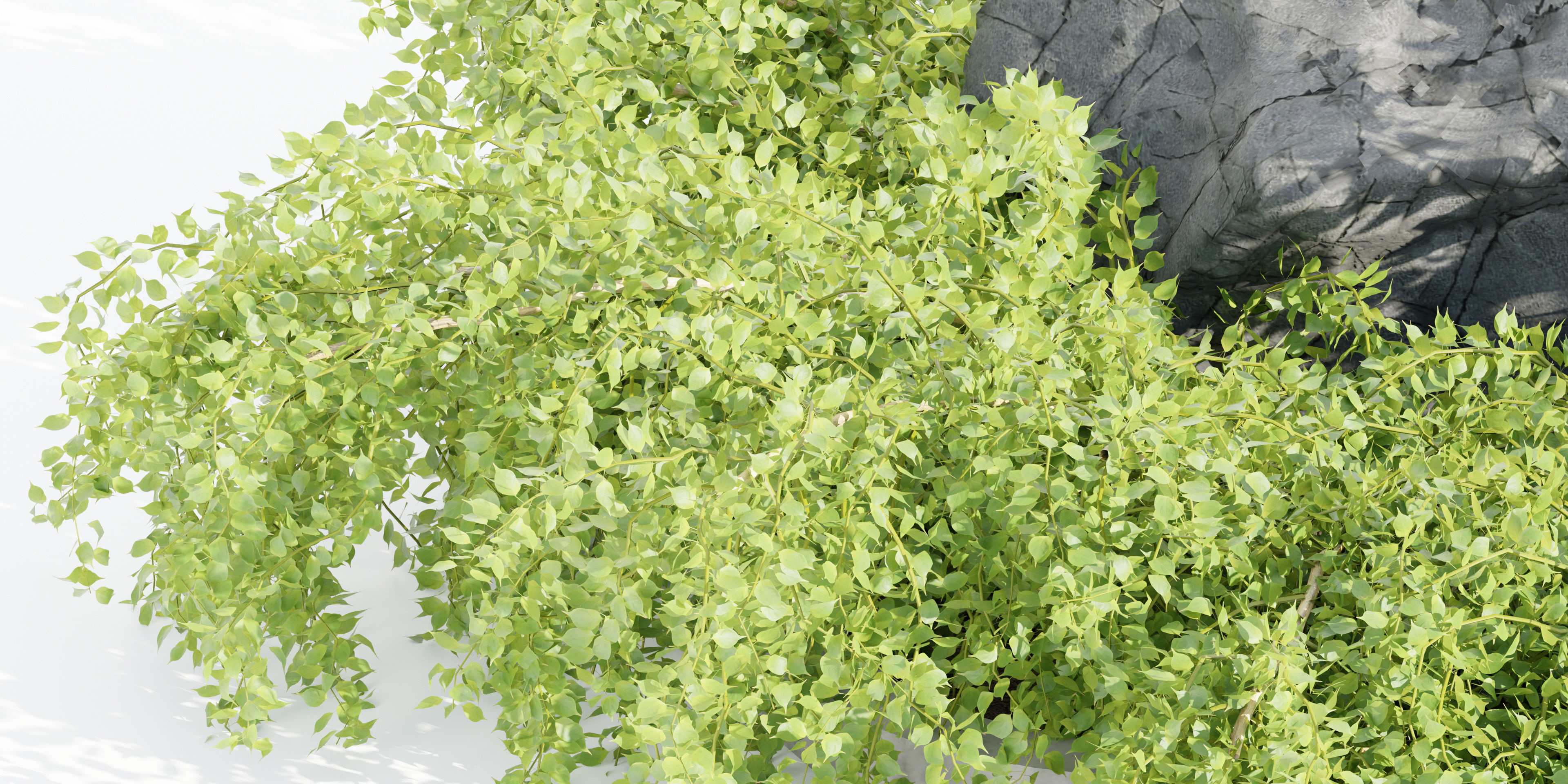 3D Plants Asset Set Garden Collection-Blender 3D model_8